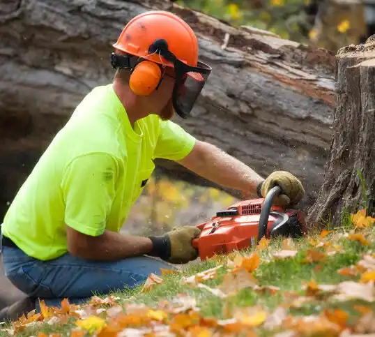 tree services Manchester